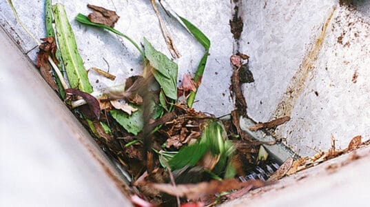 organic waste, like leaves, in the 1-SHRED bin