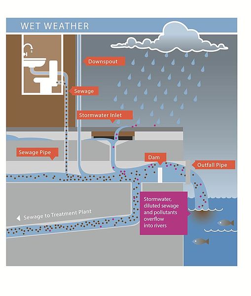 A diagram showing wet weather conditions a surge of water in stormwater inlets, which can mix with standard household sewage waste, causing untreated water to bypass dams and come out of the outfall pipe into bodies of water versus to the treatment plant