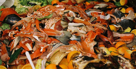Food Waste Shredder - Wiscon Envirotech - Kitchen Waste Grinder
